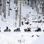 iznajmljivanje kvadova srbija