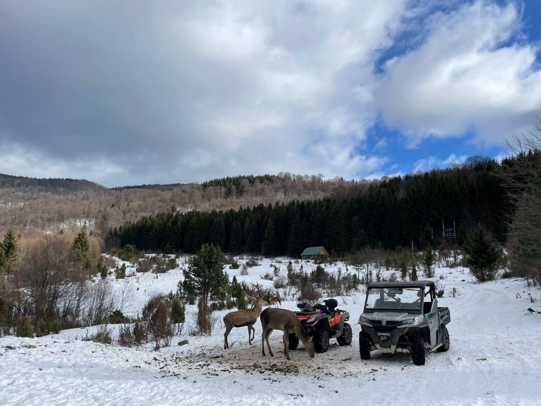 cfmoto nacionalni park kopaonik