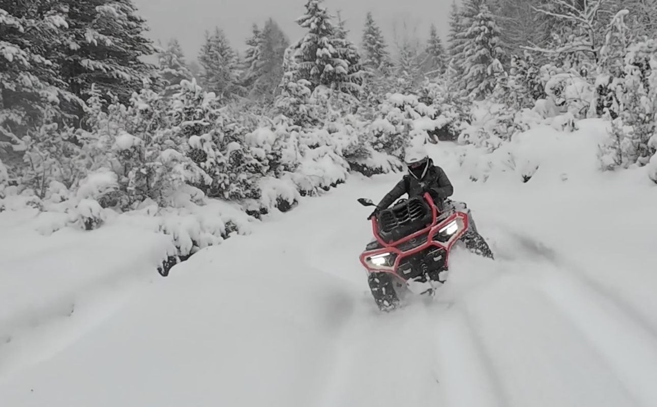 cfmoto cforce x10 mud version